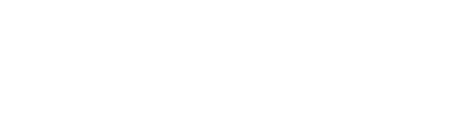 Visofit – Training · Recovery · Wellness